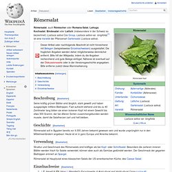 Römersalat