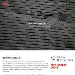 Roofing Repair Services - Roofing Lexington KY