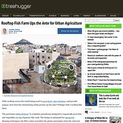 Rooftop Fish Farm Ups the Ante for Urban Agriculture