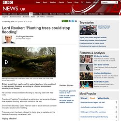 Lord Rooker: 'Planting trees could stop flooding'