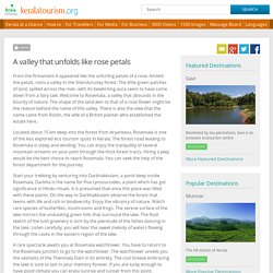 Rosemala – An Eco Tourism Spot in Shenduruney Forest, Kollam