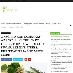 OREGANO AND ROSEMARY ARE NOT JUST ORDINARY HERBS: THEY LOWER BLOOD SUGAR, RELIEVE STRESS, FIGHT BACTERIA AND MUCH MORE