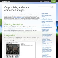 Crop, rotate, and scale embedded images