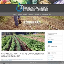 Crop Rotation - A Vital Component of Organic Farming