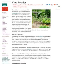 Why is Crop Rotation So Important?