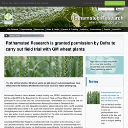 ROTHAMSTED RESEARCH 01/02/17 Rothamsted Research is granted permission by Defra to carry out field trial with GM wheat plants