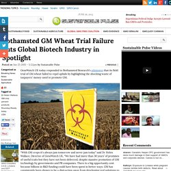 Rothamsted GM Wheat Trial Failure Puts Global Biotech Industry in Spotlight