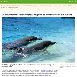 Un député roumain veut donner aux dauphins les mêmes droits qu’aux humains