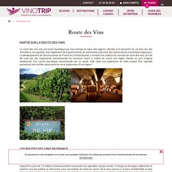 Route des vins - Vinotrip