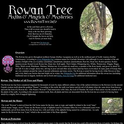 RowanTree.info