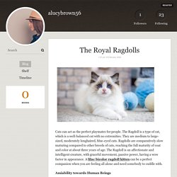 The Royal Ragdolls