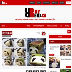 Roy Reid Comedy – Canada's #1 Source For All Things Comedy