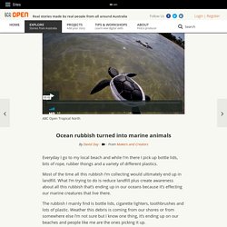 Ocean rubbish turned into marine animals