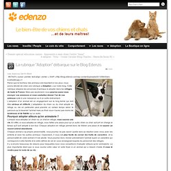 La rubrique « Adoption » débarque sur le Blog Edenzo. » Le bien-être de vos chiens et chats