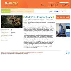 Ruffed Grouse Drumming Survey on SciStarter