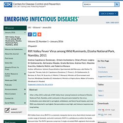 CDC EID - JANV 2016 – Au sommaire: Rift Valley Fever Virus among Wild Ruminants, Etosha National Park, Namibia, 2011