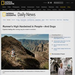 Runner's High Hardwired in People—And Dogs