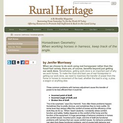 Rural Heritage Horse Geometry