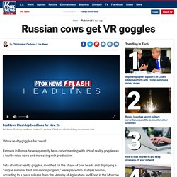 Russian cows get VR goggles