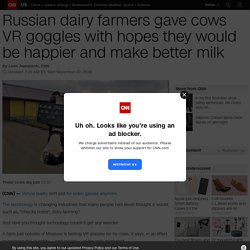 Russian dairy farmers gave cows VR goggles with hopes they would be happier and make better milk