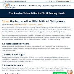 The Russian Yellow Millet Fulfils All Dietary Needs - Sun Impex