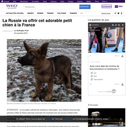 La Russie va offrir cet adorable petit chien à la France