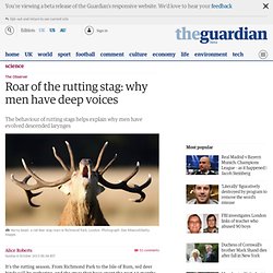 Roar of the rutting stag: why men have deep voices