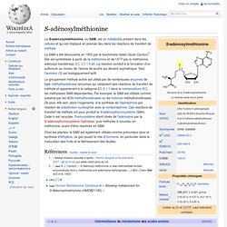 S-adénosylméthionine
