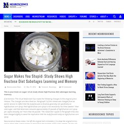Sugar Makes You Stupid: Study Shows High Fructose Diet Sabotages Learning and Memory