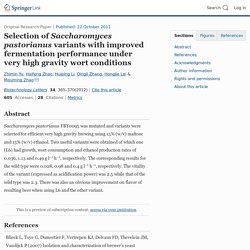 Selection of Saccharomyces pastorianus variants with improved fermentation performance under very high gravity wort conditions