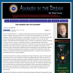 Awaken in the Dream by Paul Levy