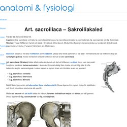Art. sacroiliaca - Sakroiliakaled
