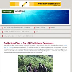 Ultimate Experiences Gorilla Safari Tour in Africa.