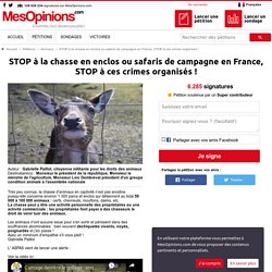 STOP à la chasse en enclos ou safaris de campagne en France, STOP à ces crimes organisés !