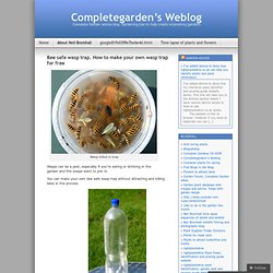 Bee safe wasp trap. How to make your own wasp trap for free « Completegarden’s Weblog