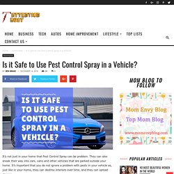 Is it Safe to Use Pest Control Spray in a Vehicle?