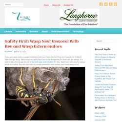 Safe Wasp Nest Removal With Bee and Wasp Exterminators