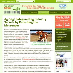 Ag Gag: Safeguarding Industry Secrets by Punishing the Messenger
