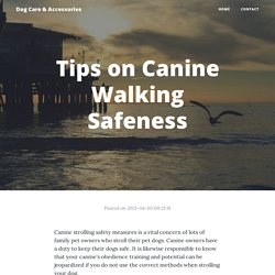 Tips on Canine Walking Safeness