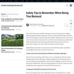 Safety Tips to Remember When Doing Tree Removal