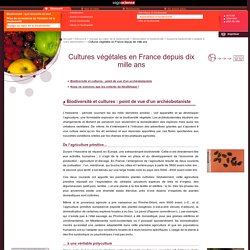 sagascience - Cultures végétales en France depuis dix mille ans