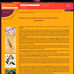 CNRS/sagascience - Histoire de la quinine dans la lutte contre le paludisme