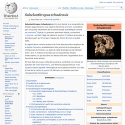 Sahelanthropus tchadensis