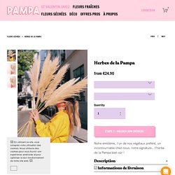 La Botte de saison / Herbes de la Pampa — Pampa — floral superstore