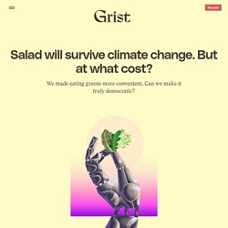 16 juin 2021 Salad will survive climate change. But at what cost?