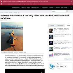 Robot able to swim, crawl and walk