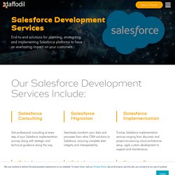 Salesforce Consulting Service