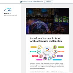 Salesforce Partner in Saudi Arabia Explains its Benefits – Cloud-11