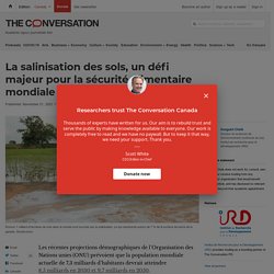 La salinisation des sols, un défi majeur pour la sécurité alimentaire mondiale