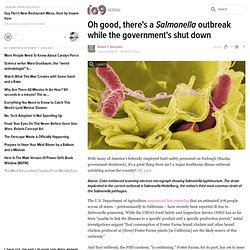 Oh good, there's a Salmonella outbreak while the government's shut down